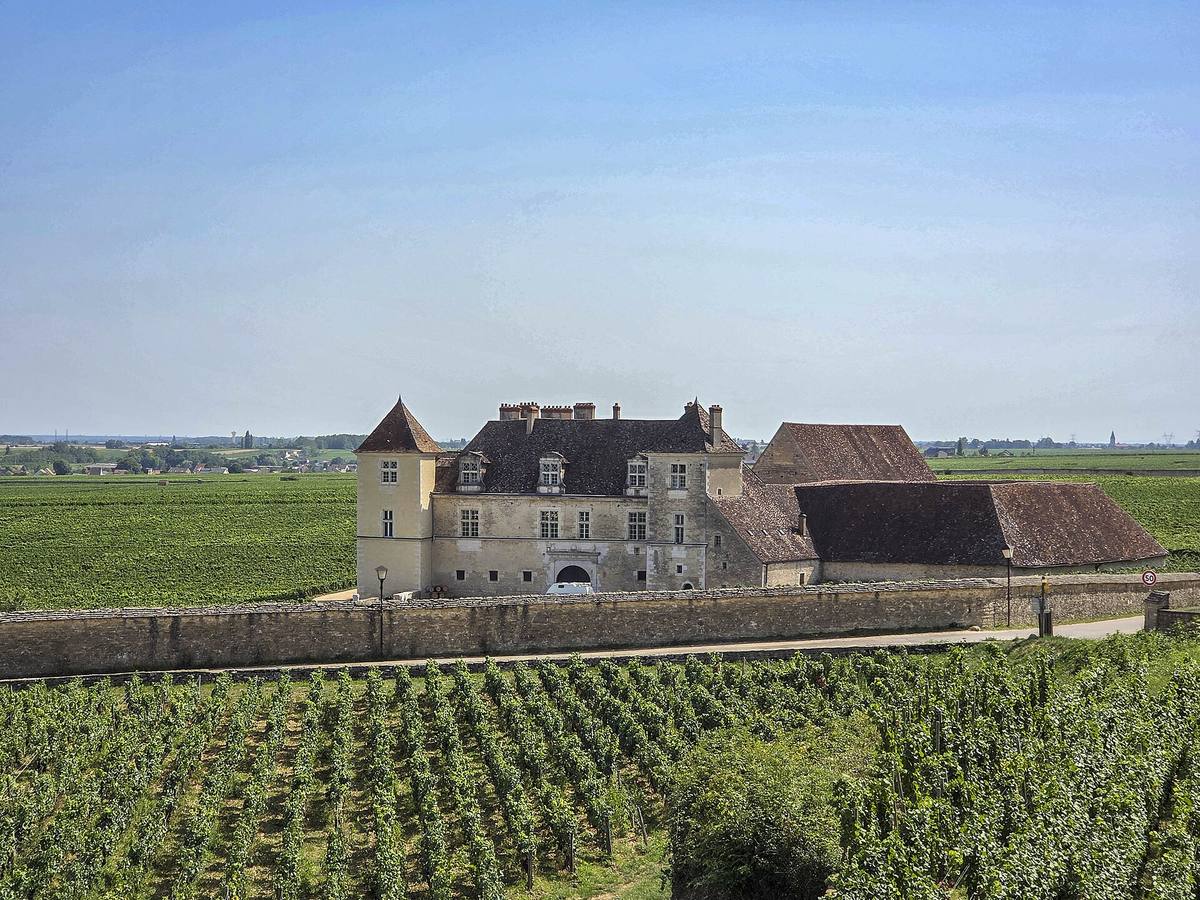 Le château du Clos de Vougeot au milieu des vignes, derrière son mur de clôture en pierre